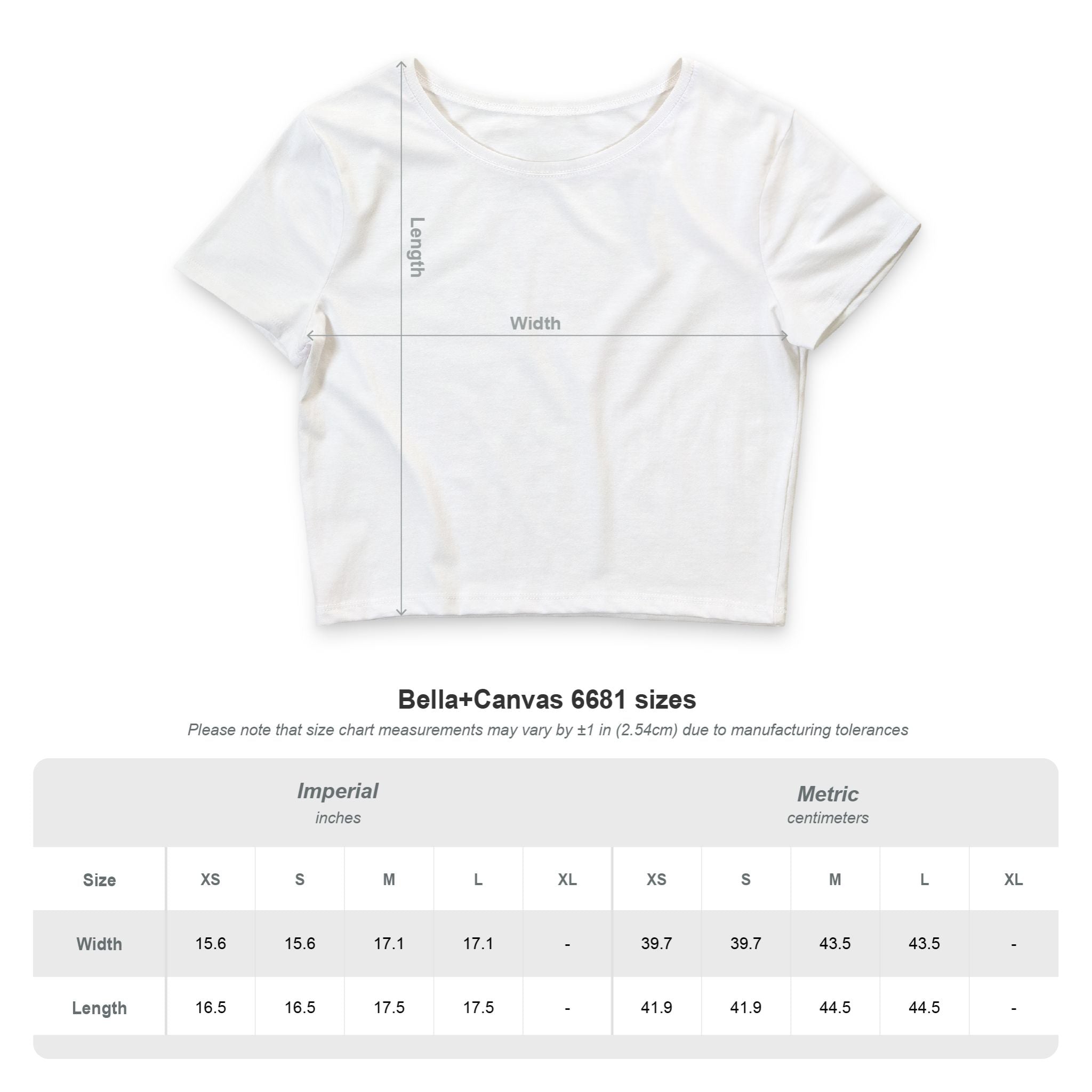 I JUST CAME TO SKATE CROP TOP